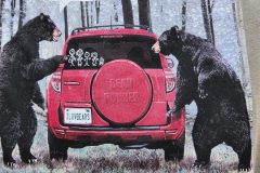 20250106_152920-scaled