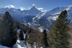 Rogers-Matterhorn-with-Trees